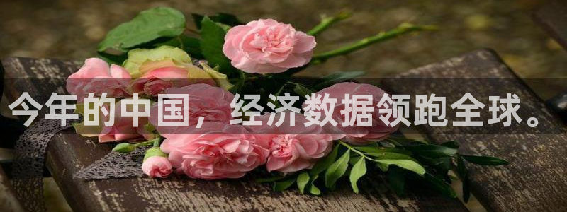 乐发ll5003注册：今年的中国，经济数据领跑全球。