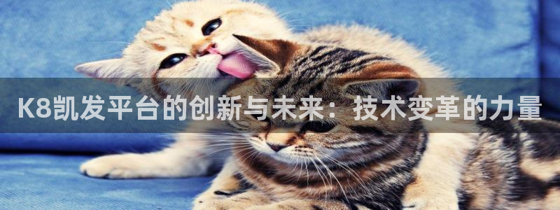 乐发ll500app最新版