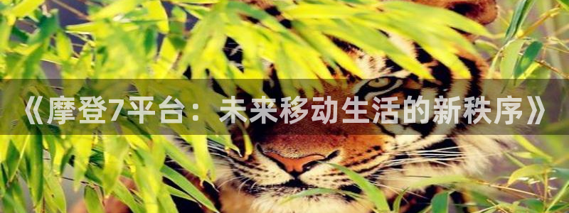 乐发ll500在线下载：《摩登7平台：未来移动生活的新秩序》