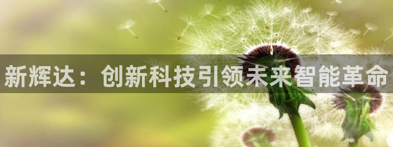 乐发ll500零能源集团：新辉达：创新科技引领未来智能革命