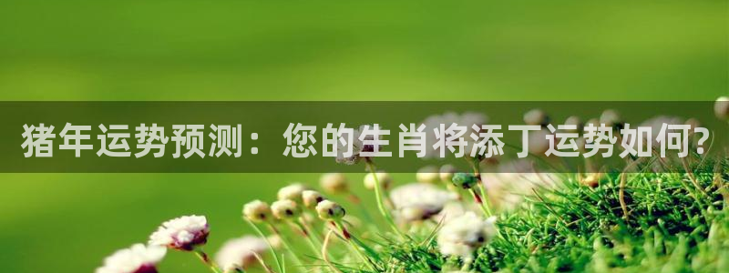 乐发ll500登录：猪年运势预测：您的生肖将添丁运势如何?