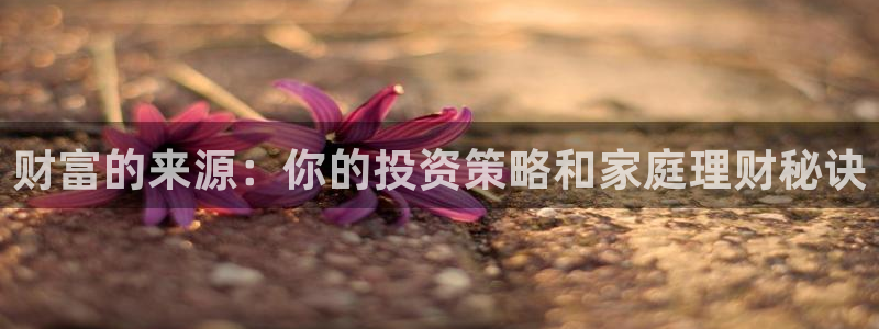 乐发ll500零能源集团：财富的来源：你的投资策略和家庭理财秘诀