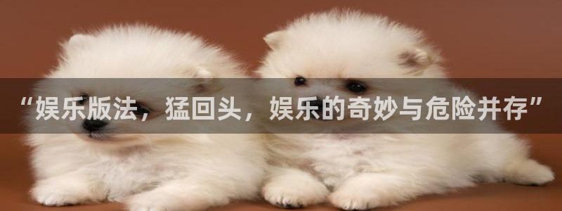 乐发ll500体育app下载：“娱乐版法，猛回头，娱乐的奇妙与危险并存”
