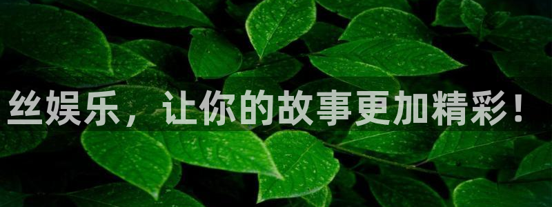乐发ll500环保：丝娱乐，让你的故事更加精彩！
