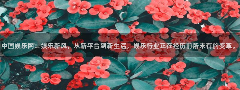 乐发ll500网站：中国娱乐网：娱乐新风，从新平台到新生活，娱乐行业正在经历前所未有的变革。