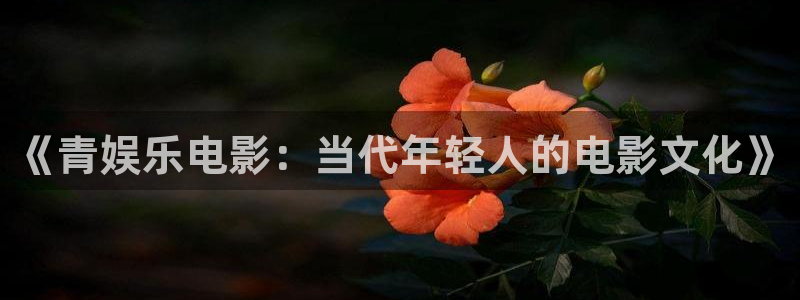 乐发ll500链接：《青娱乐电影：当代年轻人的电影文化》