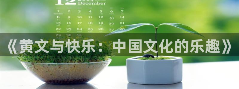 乐发ll500ccm赏金女王：《黄文与快乐：中国文化的乐趣》