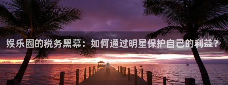 乐发ll500平台官网登录入口：娱乐圈的税务黑幕：如何通过明星保护自己的利益？