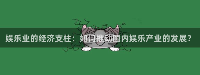 乐发ll500体育f开号：娱乐业的经济支柱：如何推动国内娱乐产业的发展？