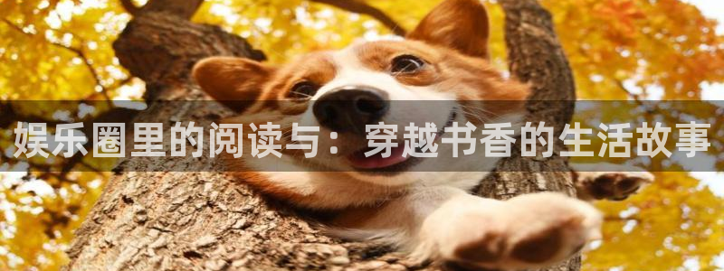 乐发ll500.ccm官网版：娱乐圈里的阅读与：穿越书香的生活故事