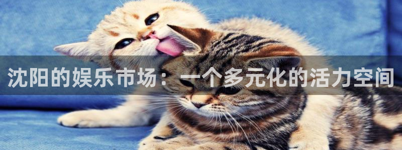 乐发ll500平台官网登录入口：沈阳的娱乐市场：一个多元化的活力空间