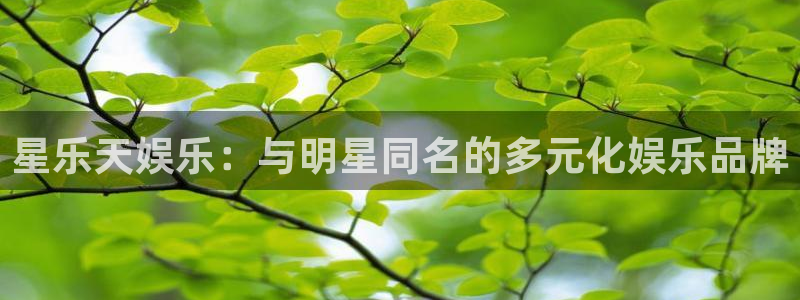乐发ll500加拿大官网：星乐天娱乐：与明星同名的多元化娱乐品牌