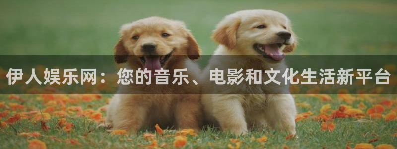 乐发ll500体育f开户：伊人娱乐网：您的音乐、电影和文化生活新平台