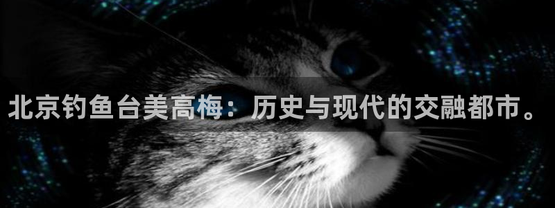 乐发ll500f平台注册：北京钓鱼台美高梅：历史与现代的交融都市。