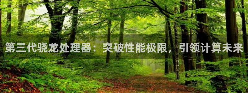 乐发ll500登录注册：第三代骁龙处理器：突破性能极限，引领计算未来