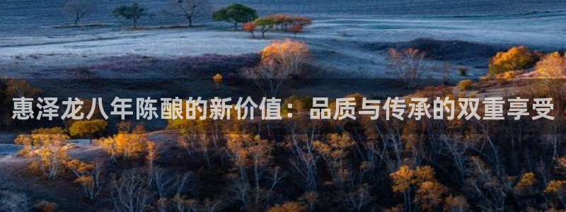 乐发ll500app最新版：惠泽龙八年陈酿的新价值：品质与传承的双重享受