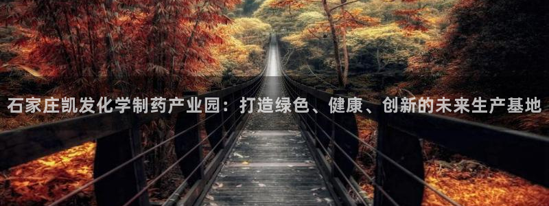 乐发ll500官网入口：石家庄凯发化学制药产业园：打造绿色、健康、创新的未来生产基地