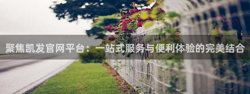 乐发ll500体育热门赛事有哪些：聚焦凯发官网平台：一站式服务与便利体验的完美结合