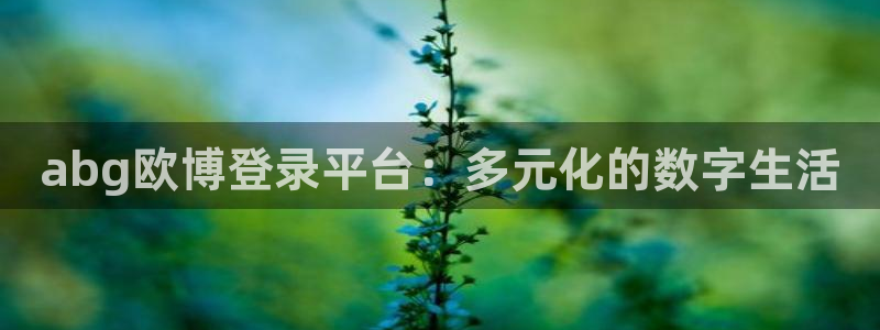 乐发ll500下载入口：abg欧博登录平台：多元化的数字生活