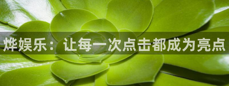 乐发ll500注册：烨娱乐：让每一次点击都成为亮点