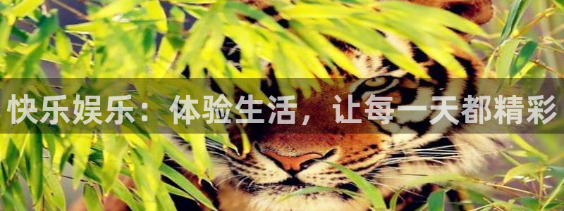 乐发ll500凯捷开号链接