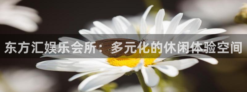 乐发ll500ccmpc麻将胡了：东方汇娱乐会所：多元化的休闲体验空间