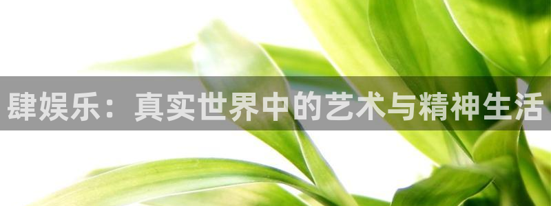乐发ll500注册网页版：肆娱乐：真实世界中的艺术与精神生活