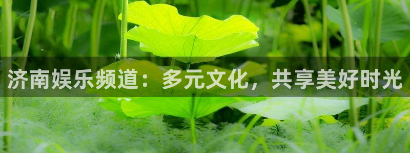 乐发ll500怎么下载：济南娱乐频道：多元文化，共享美好时光