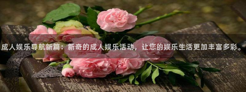 乐发ll500电子游戏：成人娱乐导航新篇：新奇的成人娱乐活动，让您的娱乐生活更加丰富多彩。