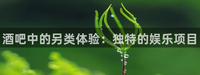 乐发ll500电子娱乐官网下载：酒吧中的另类体验：独特的娱乐项目