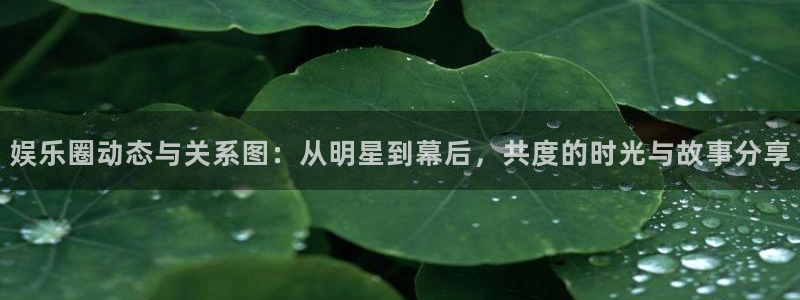 乐发ll500登录界面入口：娱乐圈动态与关系图：从明星到幕后，共度的时光与故事分享
