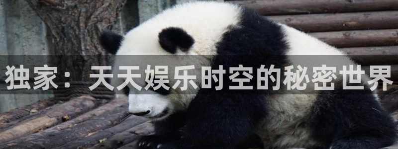 乐发ll500集团官网：独家：天天娱乐时空的秘密世界