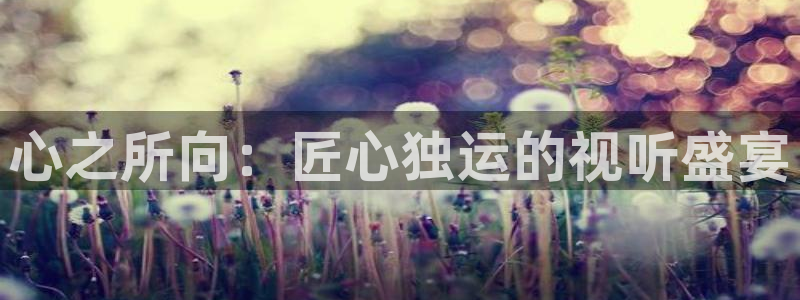 乐发ll500f平台注册：心之所向：匠心独运的视听盛宴