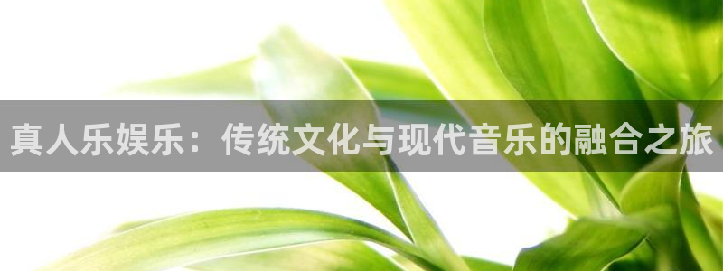 乐发ll500注册登录入口：真人乐娱乐：传统文化与现代音乐的融合之旅