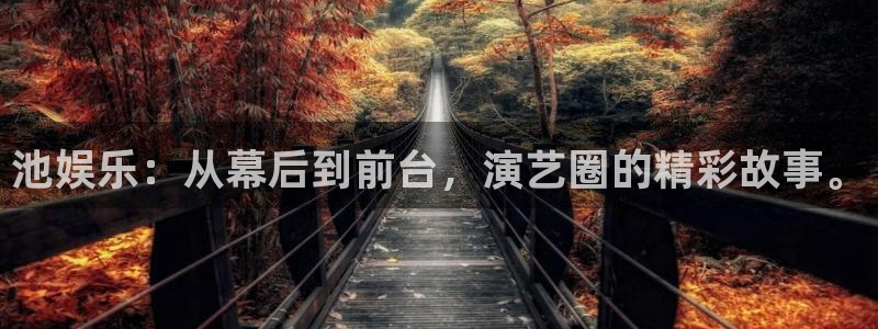 乐发ll500平台：池娱乐：从幕后到前台，演艺圈的精彩故事。