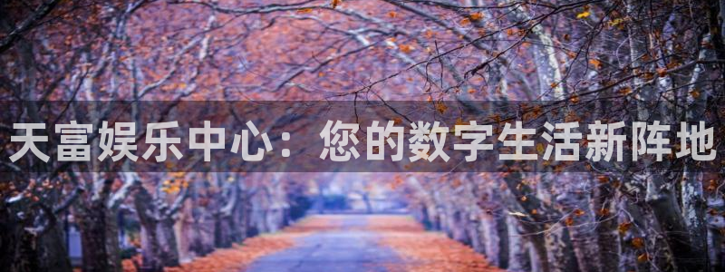 乐发ll500注册网页版：天富娱乐中心：您的数字生活新阵地