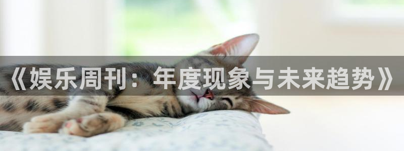 乐发ll500体育官网注册：《娱乐周刊：年度现象与未来趋势》