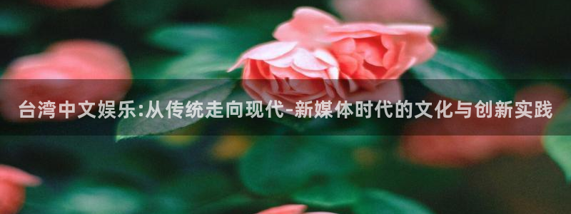 乐发ll500代理注册官网入口：台湾中文娱乐:从传统走向现代-新媒体时代的文化与创新实践