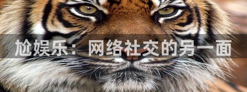 乐发ll500pg：尬娱乐：网络社交的另一面