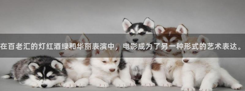 乐发ll500平台开户：在百老汇的灯红酒绿和华丽表演中，电影成为了另一种形式的艺术表达。