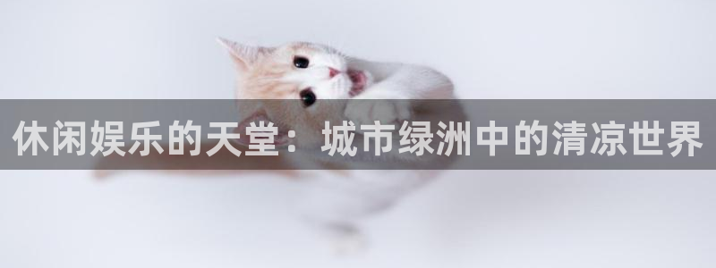 乐发ll500现在优惠多少：休闲娱乐的天堂：城市绿洲中的清凉世界