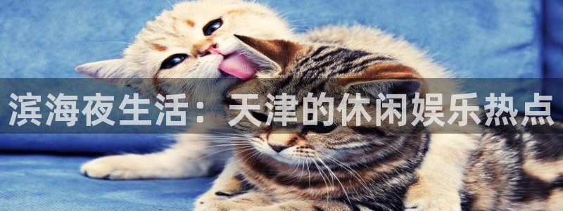 乐发ll500pg：滨海夜生活：天津的休闲娱乐热点