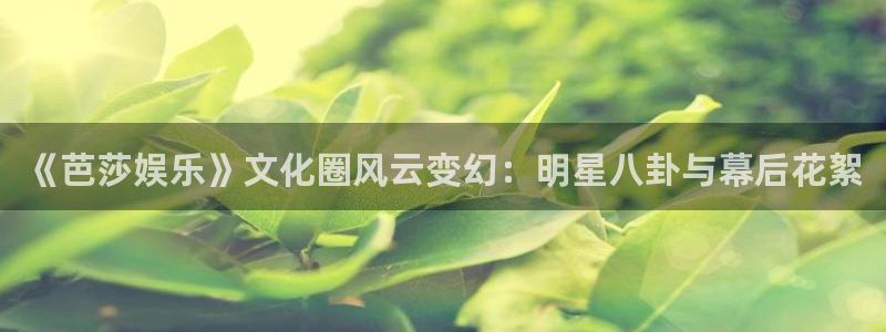 乐发ll500注册网站：《芭莎娱乐》文化圈风云变幻：明星八卦与幕后花絮